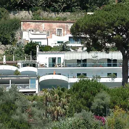Il Pino 3*