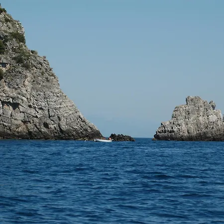Il Pino